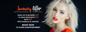 Hair at Monroe's website banner design for January special offers