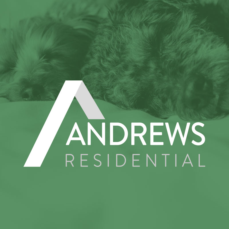MyNameisDan Andrews Residential Rebranding and Logo design