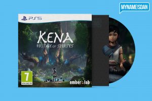 PS5 Cardboard Game Case Concept Design for Kena