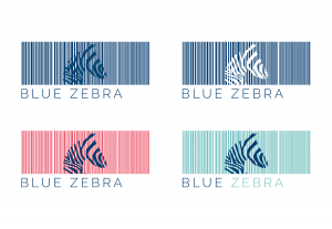 BlueZebra Logo Concepts from Presentation