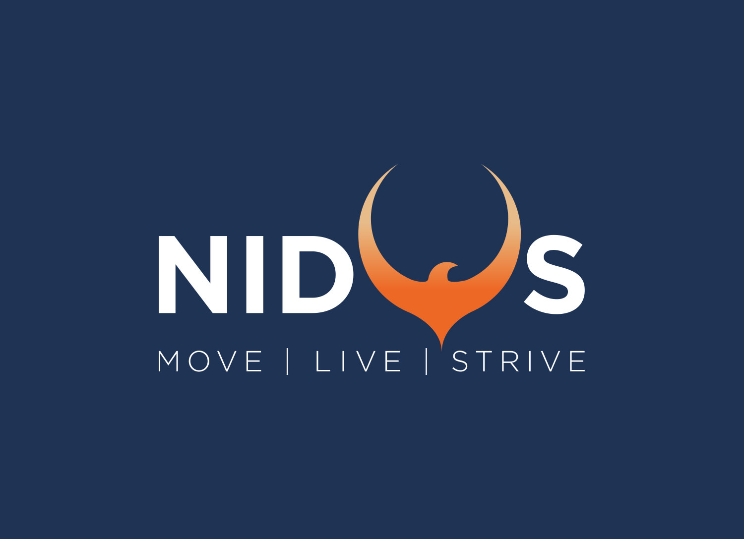 Nidus Rebrand - Final Logo Design on Blue - by My Name is Dan